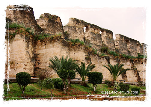 sahrij-Swani-wall